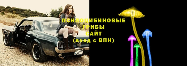 крисы Белокуриха