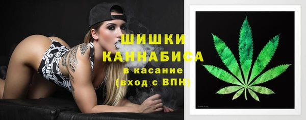 гидра Белоозёрский