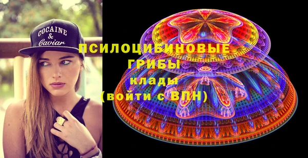 гидра Белоозёрский