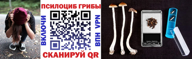 Псилоцибиновые грибы Psilocybine cubensis ссылка на мегу ССЫЛКА Южа